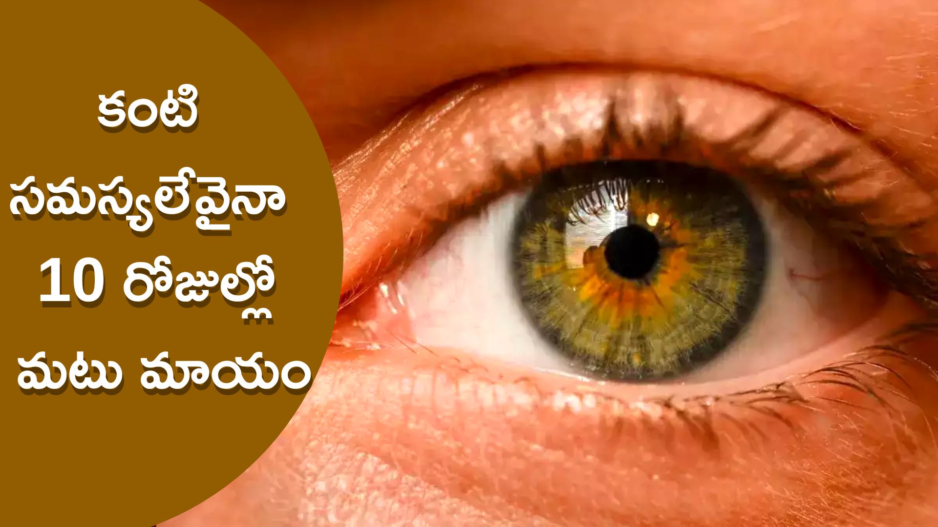 Increase Eyesight: కళ్లు తరచుగా మసక బారుతున్నాయా.. ఇలా చేయాండి 10 రోజుల్లో సమస్యలన్నీ దూరమవుతాయి..!