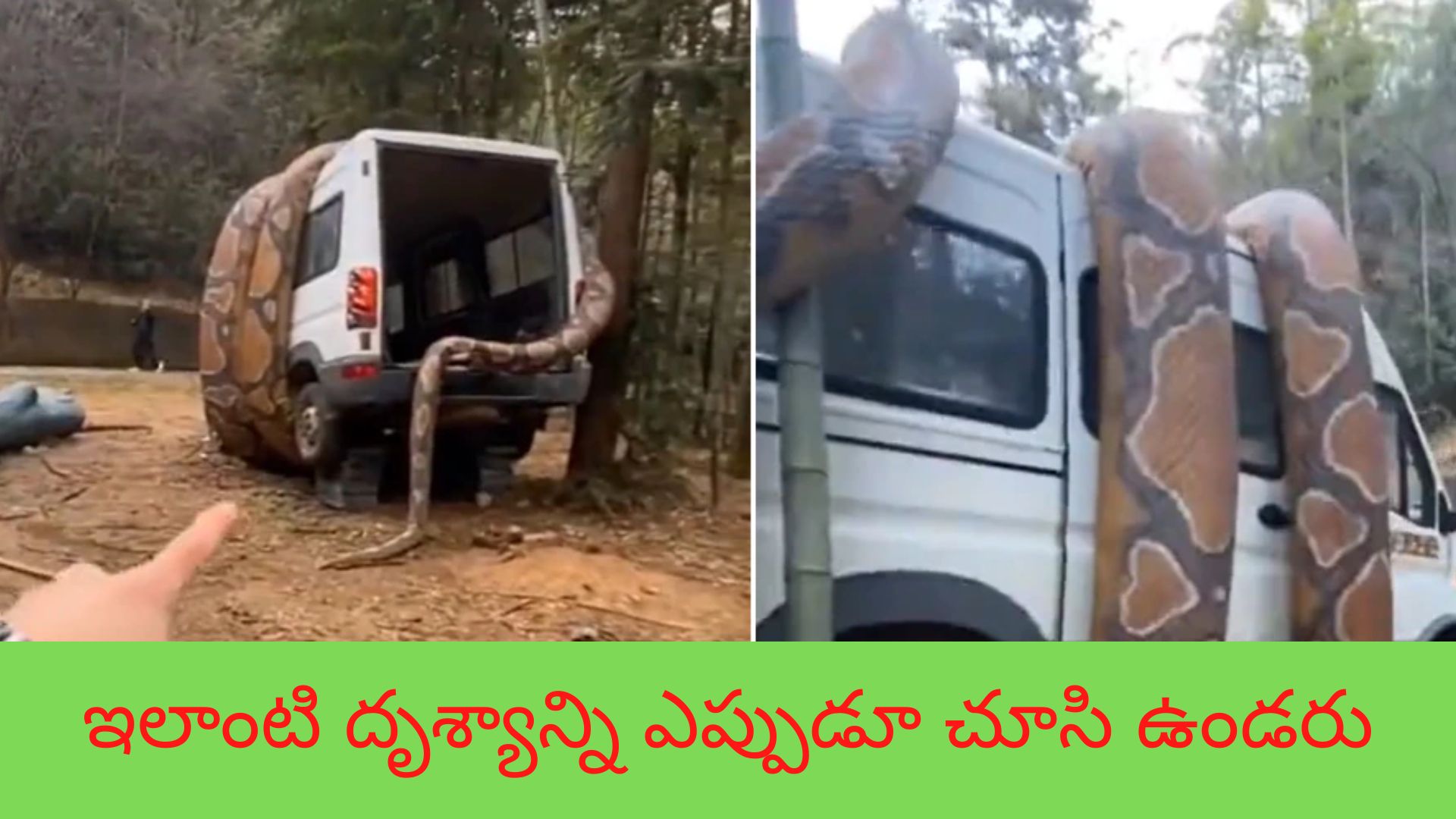 Snake Car Viral Video Giant Snake wrapped around the Car, Today Google