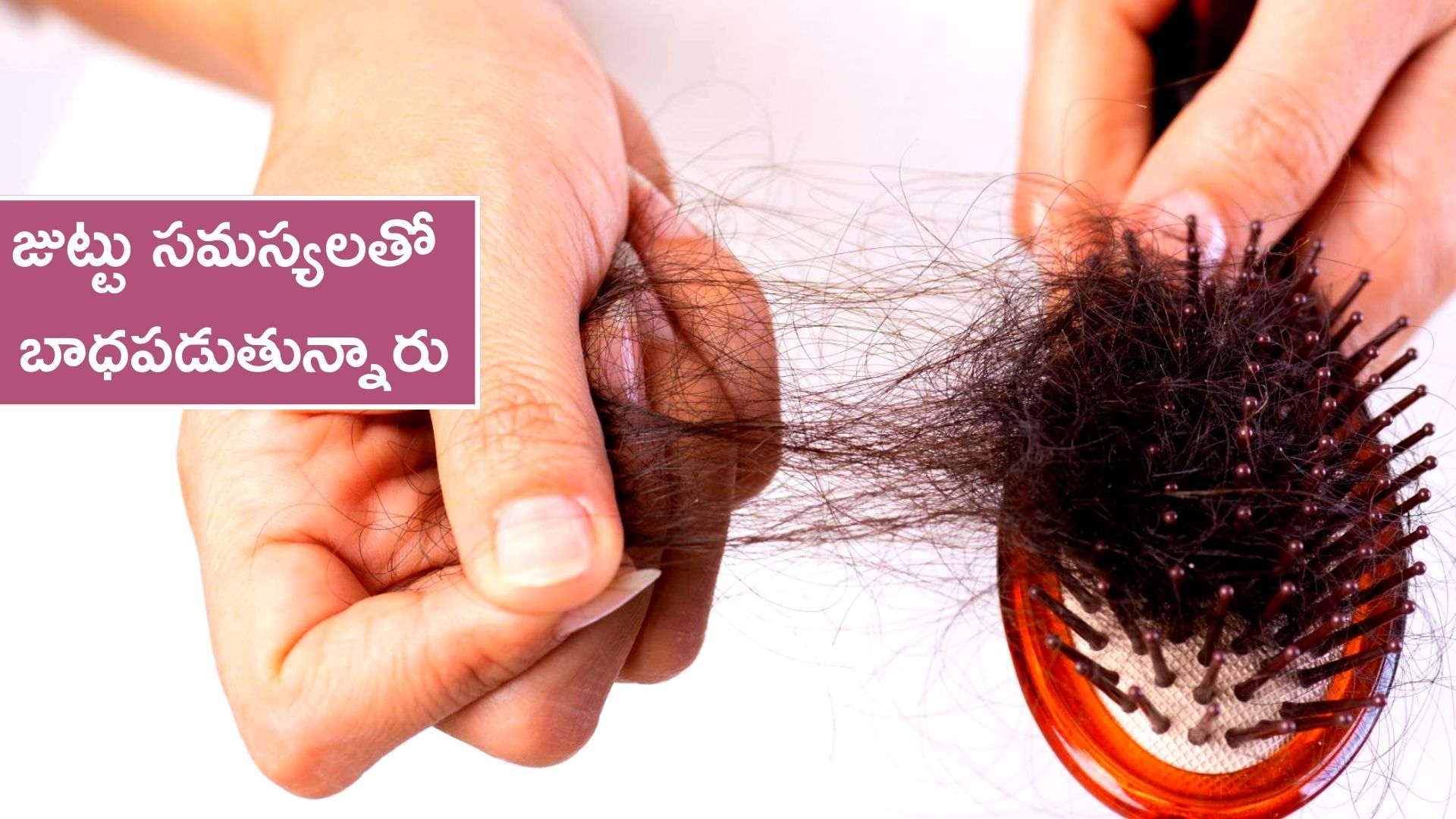 Hair Care: ఎలాంటి ఖర్చు లేకుండా.. ఇలా జుట్టు రాలడం వంటి సమస్యలకు చెక్‌ పెట్టండి..