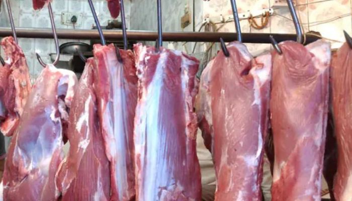 vijayawada municipal officials seizes 500 kgs rotten meat in local meat ...