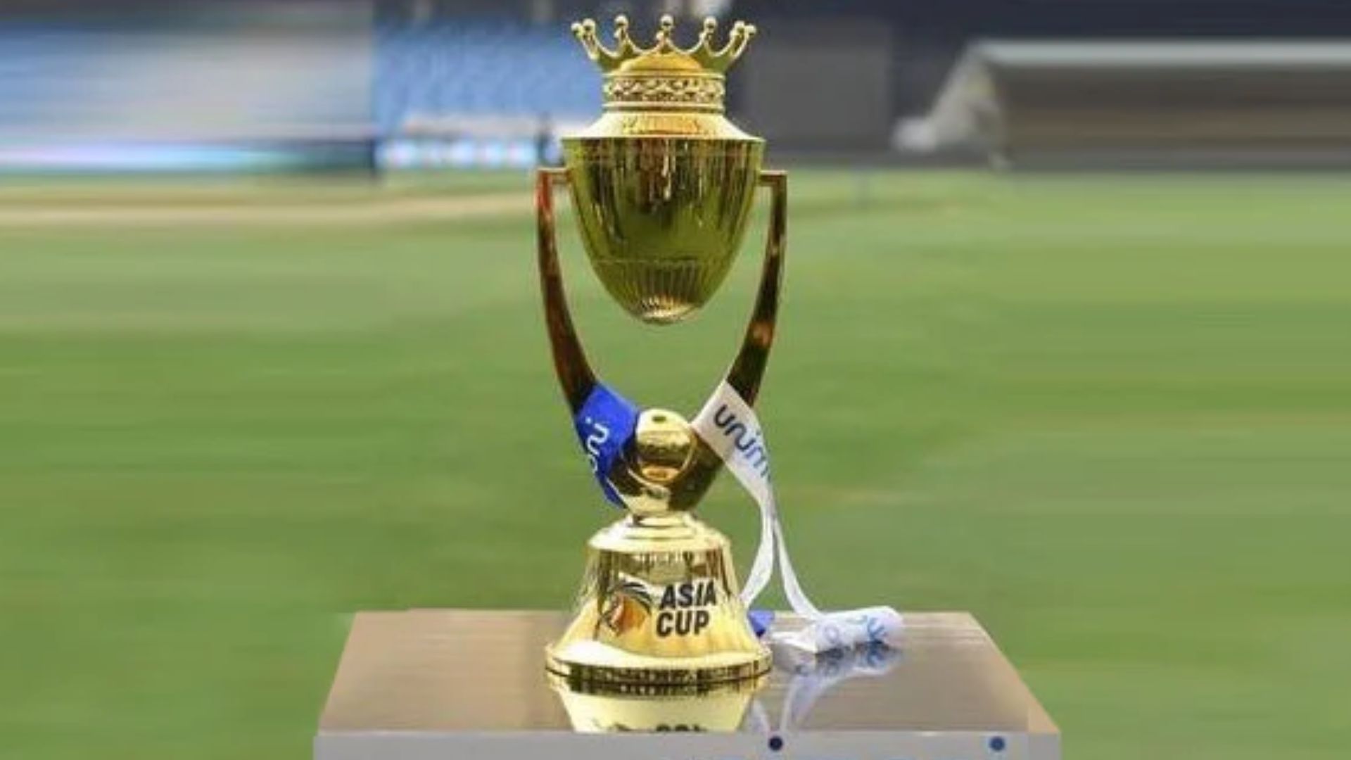 Asia Cup 2022: ఆసియా కప్ 2022లో చెలరేగిన ఐదుగురు ప్లేయర్స్ వీరే.. విరాట్ కోహ్లీకి అత్యంత ప్రత్యేకమైనది!