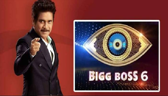 Bigg Boss 6 Nominations Leaked: ఈ వారం మరో షాక్.. ఏకంగా తొమ్మిది మంది నామినేషన్స్ లోకి.. ఎవరెవరంటే?