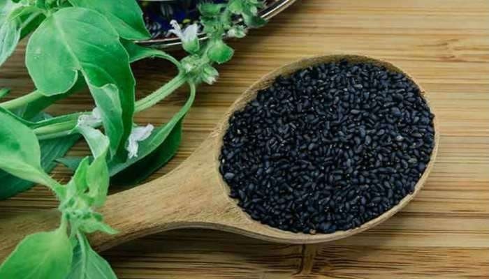 Tulsi Seeds: తులసి ఆకులే కాదు..గింజలతో కూడా రోగాలు మటుమాయం