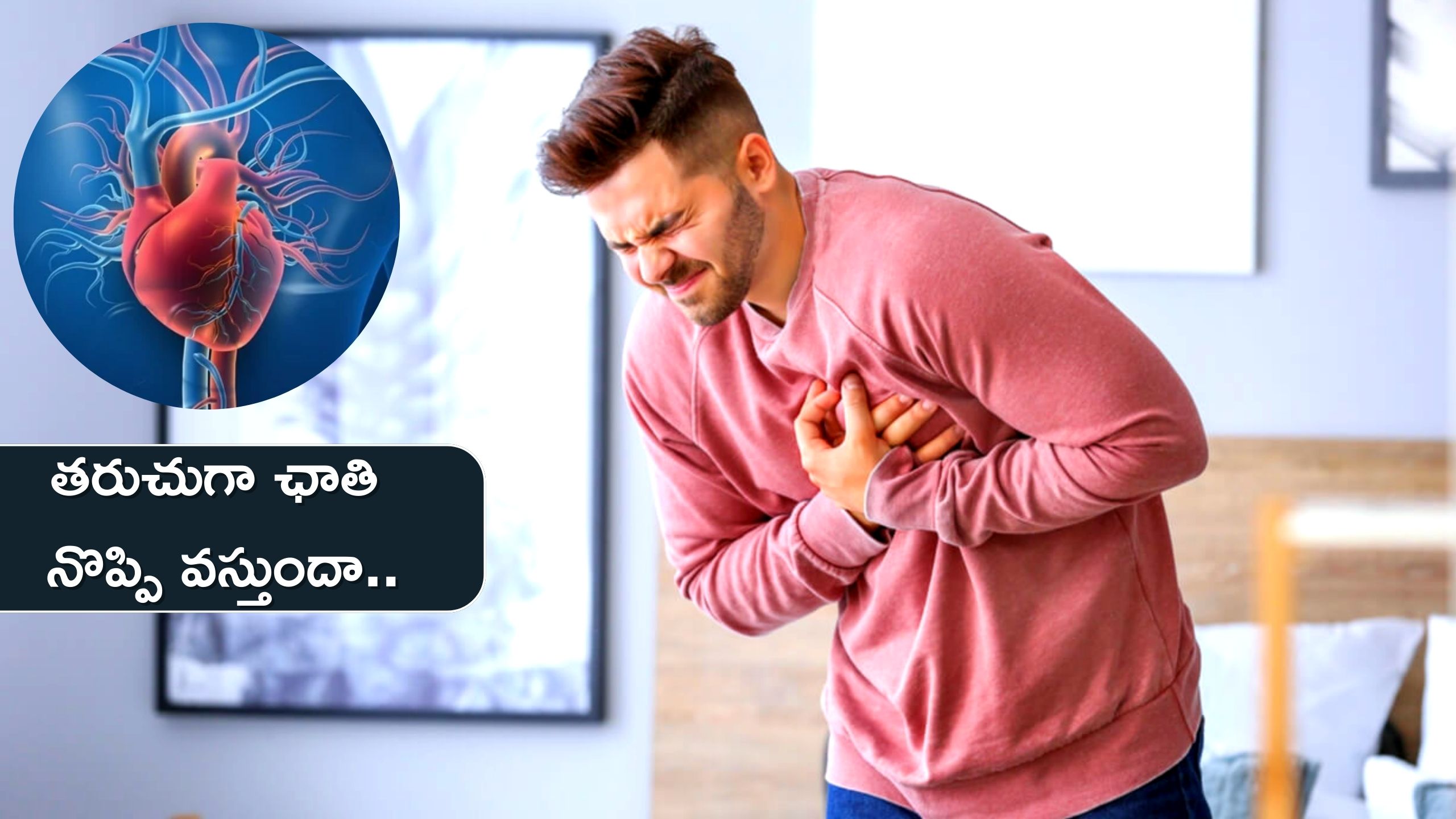 Chest Pain Causes If There Are Problems Like Dry Cough Lung Infection