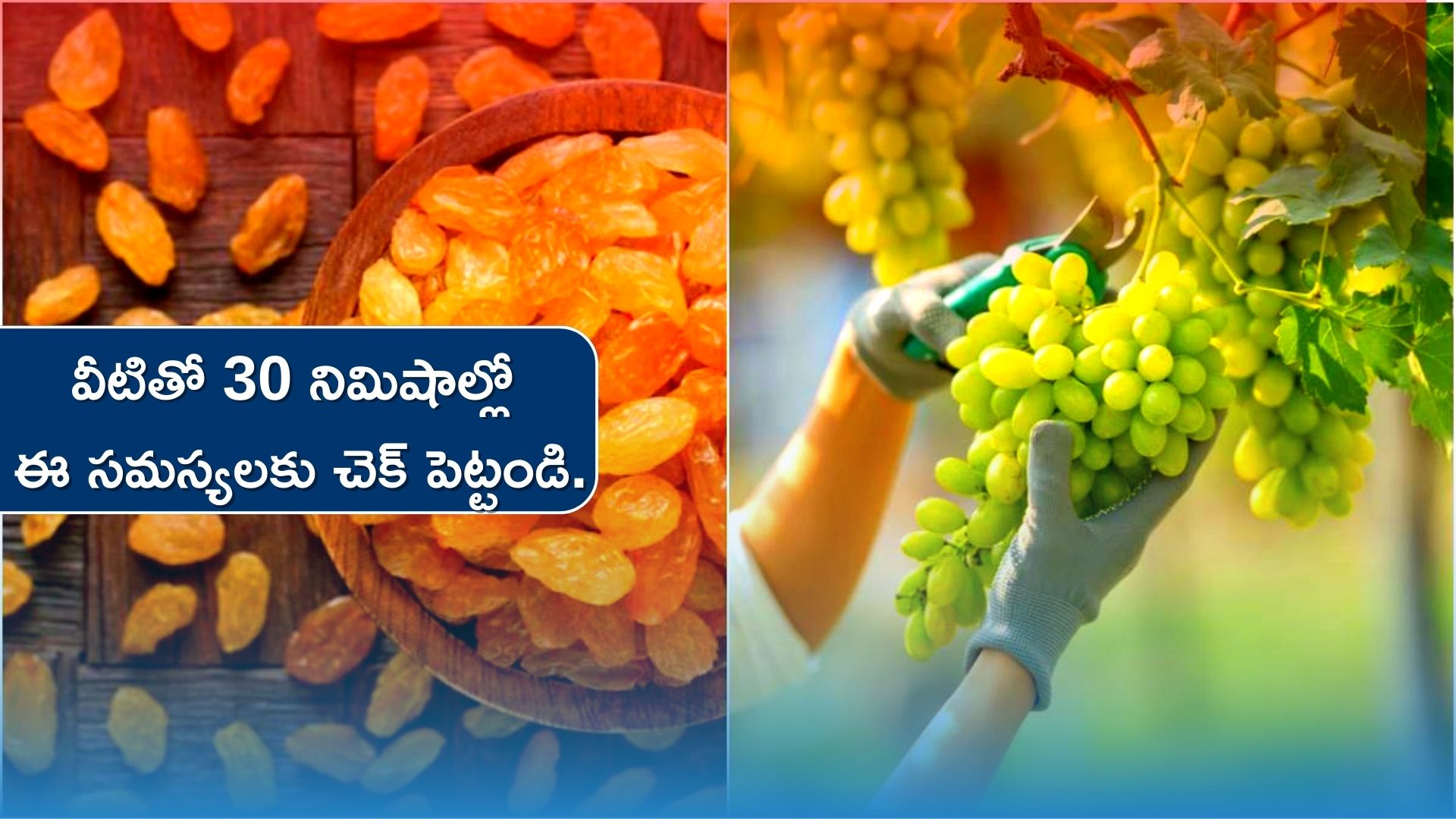  Soaked Raisins Constipation: పొట్ట సమస్యలేవైనా వీటితో 30 నిమిషాల్లో చెక్‌ పెట్టండి..