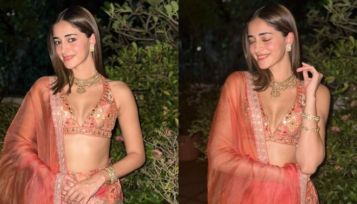 Ananya panday Pics : అనన్య అందాల విందు.. దీపావళి అంటూ మెరిసిపోతోన్న లైగర్ బ్యూటీ