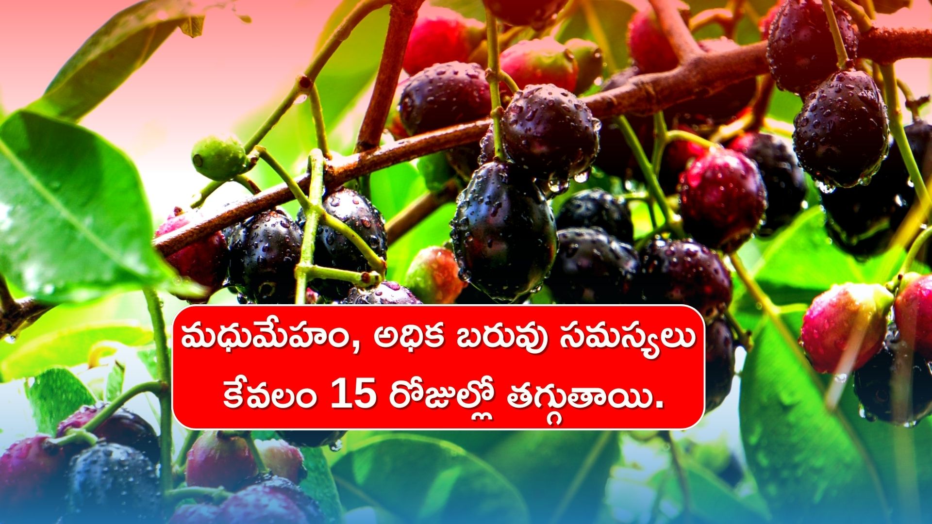 Diabetes Weight Loss: మధుమేహం, అధిక బరువు సమస్యలతో బాధపడుతున్నారా.. అయితే ఇలా కేవలం 15 రోజుల్లో చెక్‌ పెట్టండి.