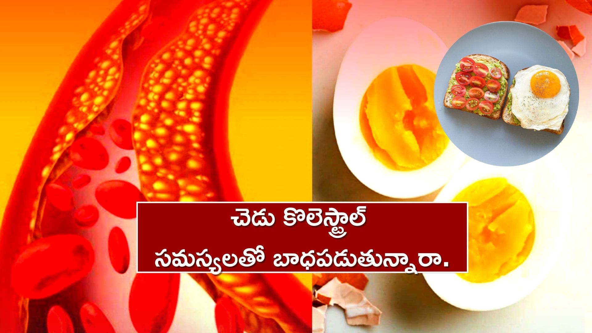 Cholesterol: చెడు కొలెస్ట్రాల్‌కు ఇలా 15 రోజుల్లో గుడ్‌ బాయ్‌ చెప్పి.. గుండె పోటు సమస్యలకు చెక్‌ పెట్టండి..