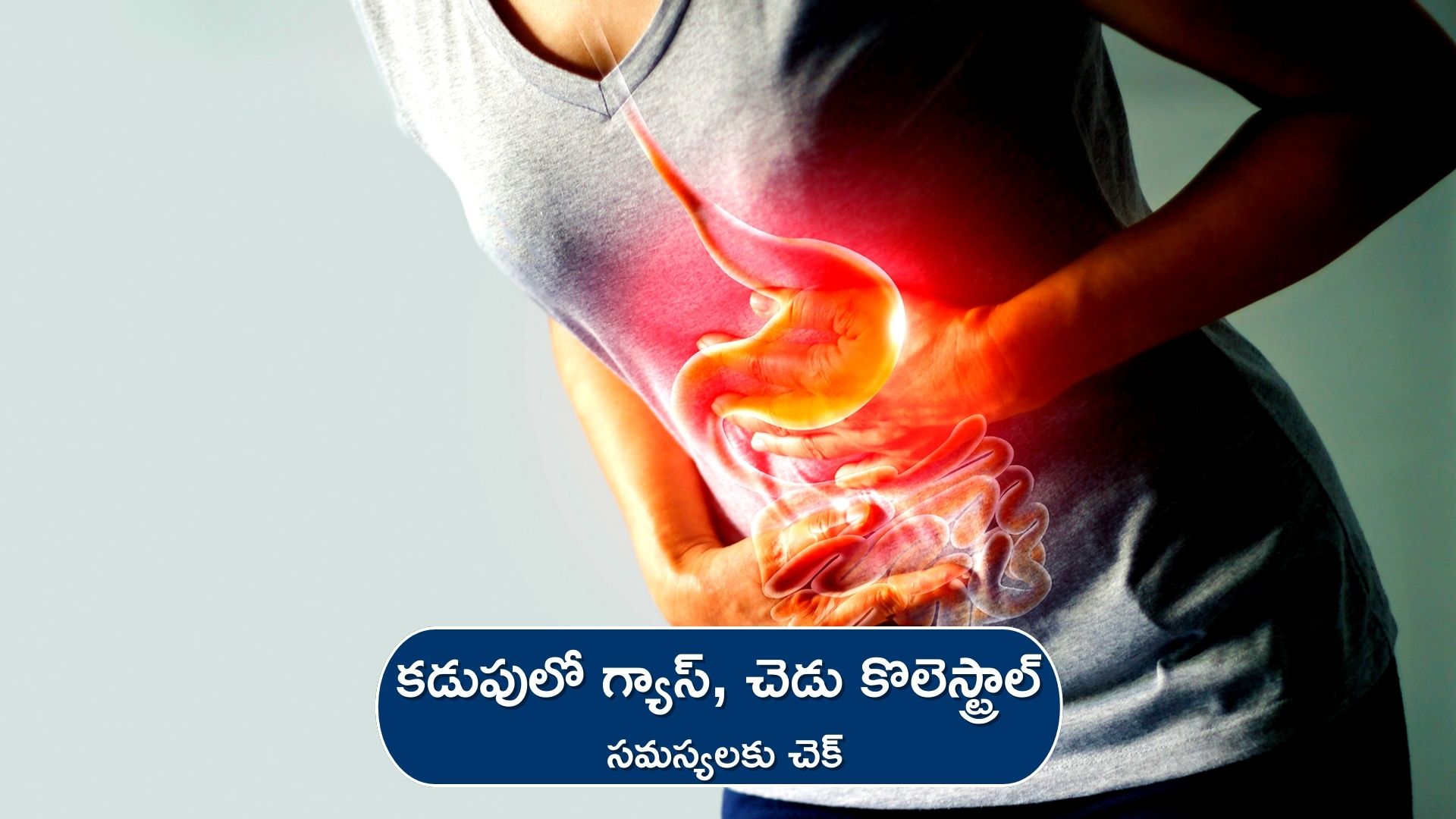 Gastritis And Cholesterol If Sabja Seeds Are Mixed With Water And