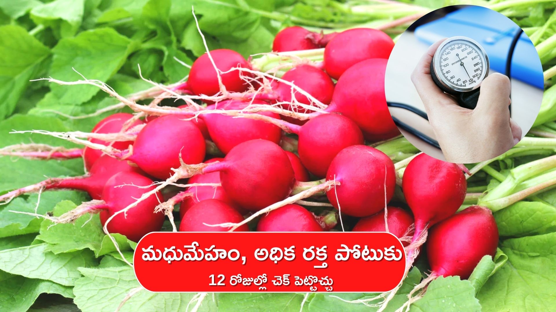 Radish For Diabetes And Blood Pressure Regular Eat Of Radish Root Can Reduce Diabetes And High