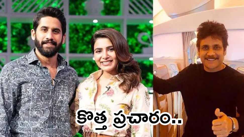 Naga chaitanya - Samantha Divorce: సమంత, నాగచైతన్య విడాకులు రద్దు చేయిస్తున్న నాగార్జున.. అసలు ఏం జరిగిందంటే?