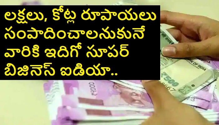 Layer Poultry Farming Business Idea Farmer Earning 18 Lakhs Per Year