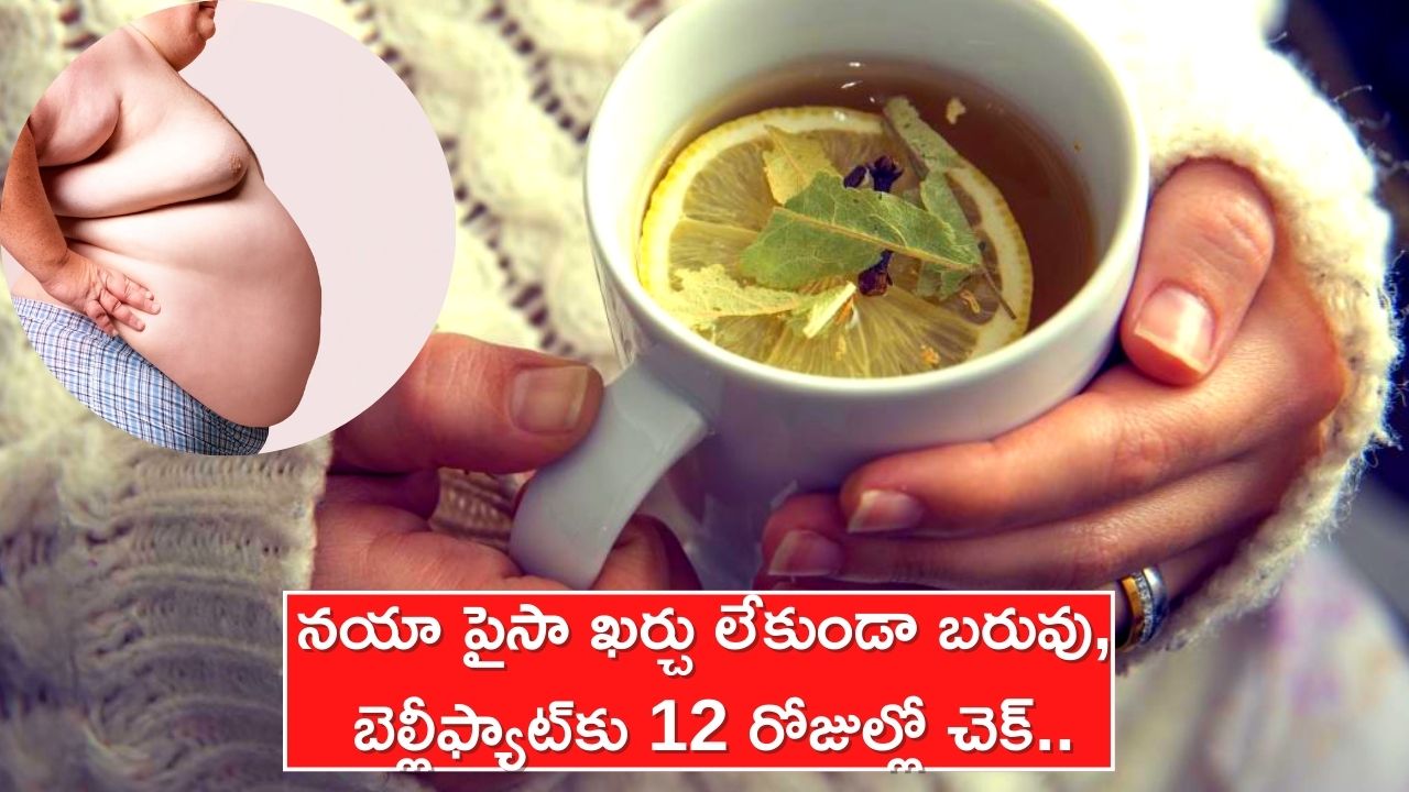 Guava Leaves Tea For Belly Fat And Weight Loss If You Drink Guava Leaves Tea Every Day Will