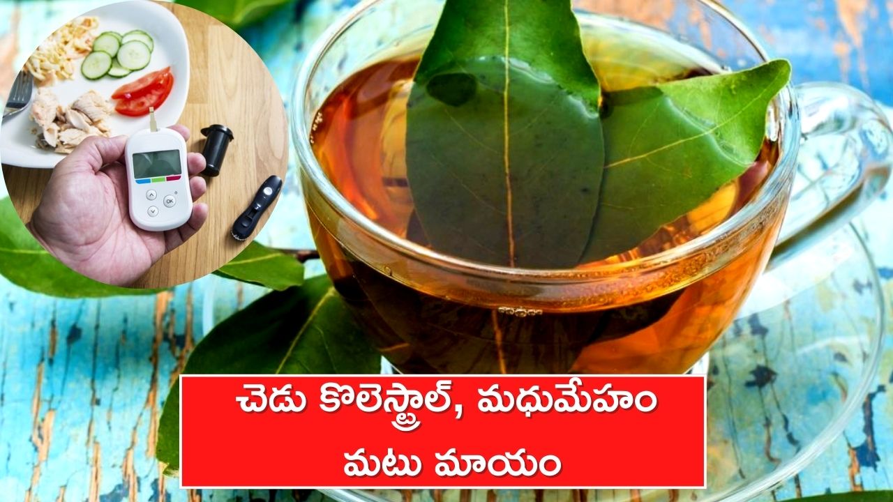 High Cholesterol: బే ఆకులతో 15 రోజుల్లో చెడు కొలెస్ట్రాల్‌, మధుమేహం మటు మాయం..