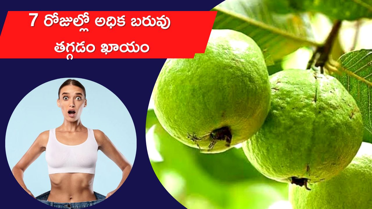Guava for Weight Loss In 7 Days If You Eat Guava Fruits Every Day Lose