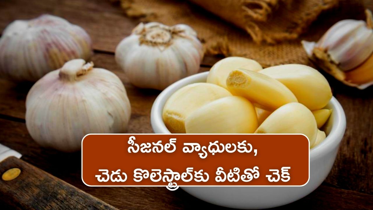 Garlic For Cholesterol In Winter Eating Garlic In Excess Every Day Can