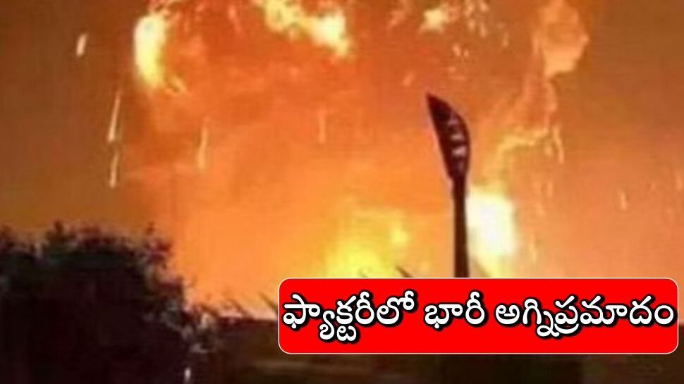 China Fire Accident: ఫ్యాక్టరీలో భారీ అగ్నిప్రమాదం... 36 మంది కార్మికులు దుర్మరణం..