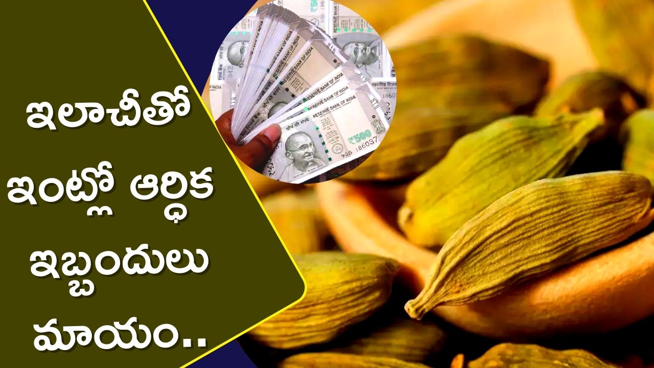 Elaichi Remedies: ఇంట్లో ఆర్ధిక ఇబ్బందులున్నాయా.. ఇలాచీతో ఇట్టే మాయం..