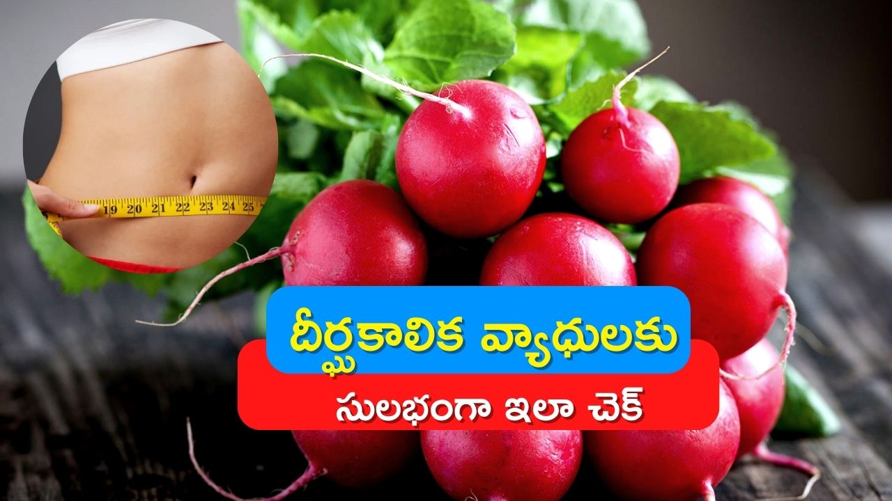 Radish Benefits Eating Radish In Diet Can Reduce Diabetes And Weight