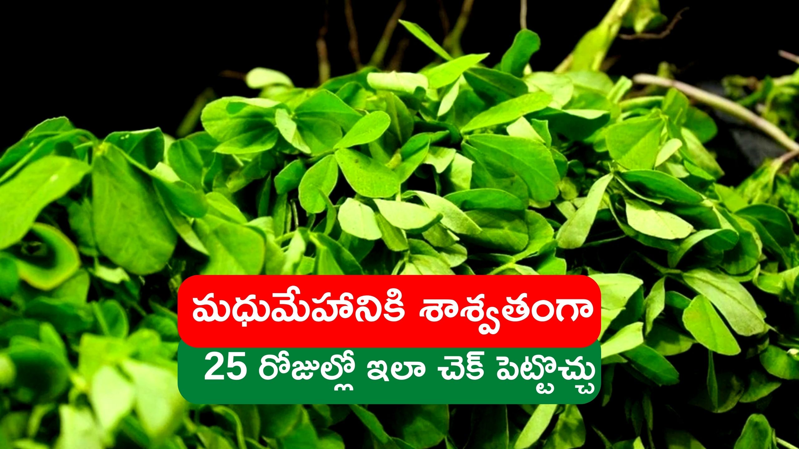 Methi Leaves For Diabetes Eating Fenugreek Leaves Every Day Can Reduce