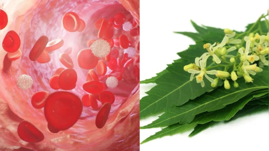 Health tips for blood purification, add these 6 foods to remove toxins ...