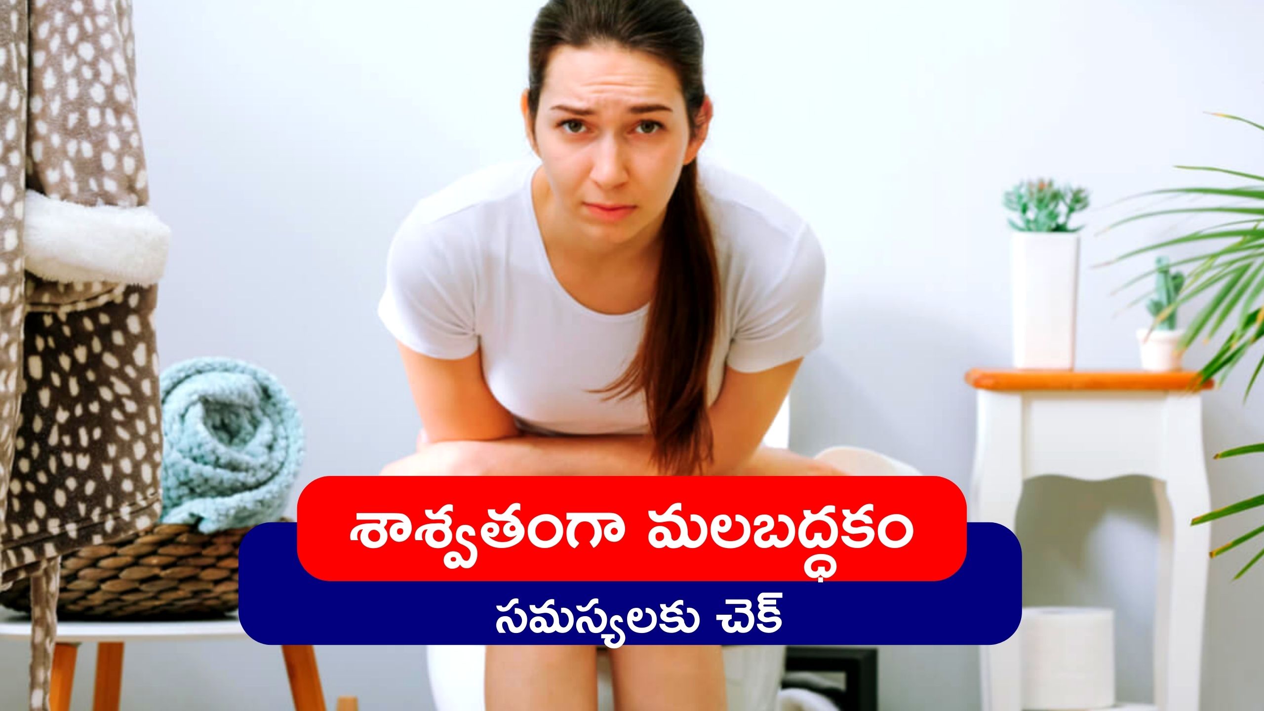 Constipation Home Remedies: ఉదయాన్నే ఇలా చేస్తే శాశ్వతంగా మలబద్ధకం సమస్యలకు చెక్‌..