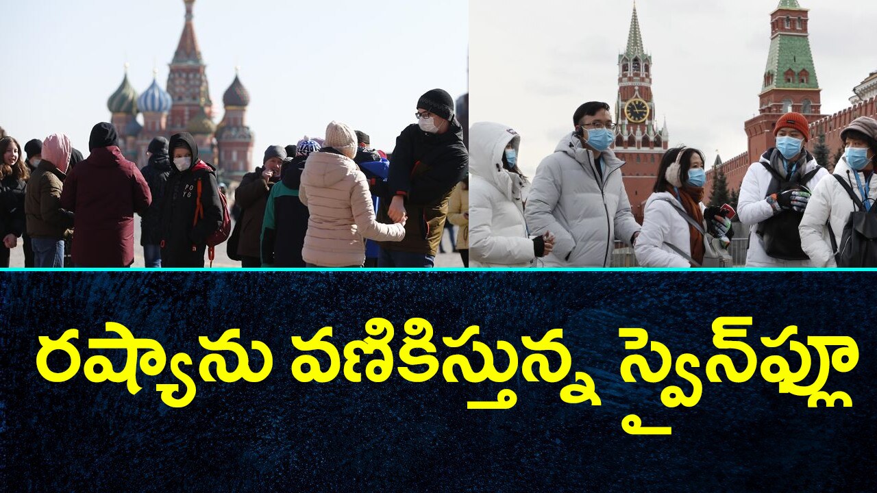 Massive swine flu outbreak in russia