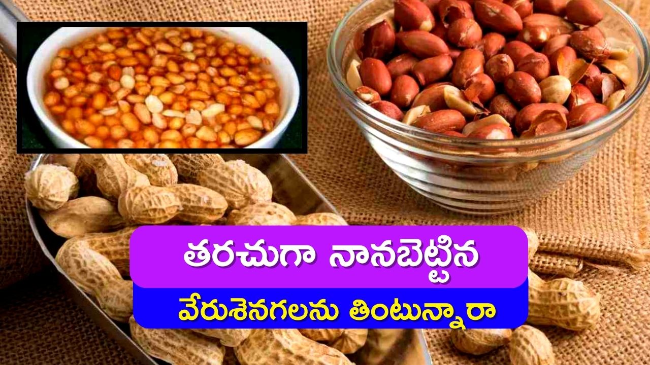 Side Effects Of Peanuts: తరచుగా నానబెట్టిన వేరుశెనగలను తింటున్నారా.. ఇక అంతే సంగతి..!