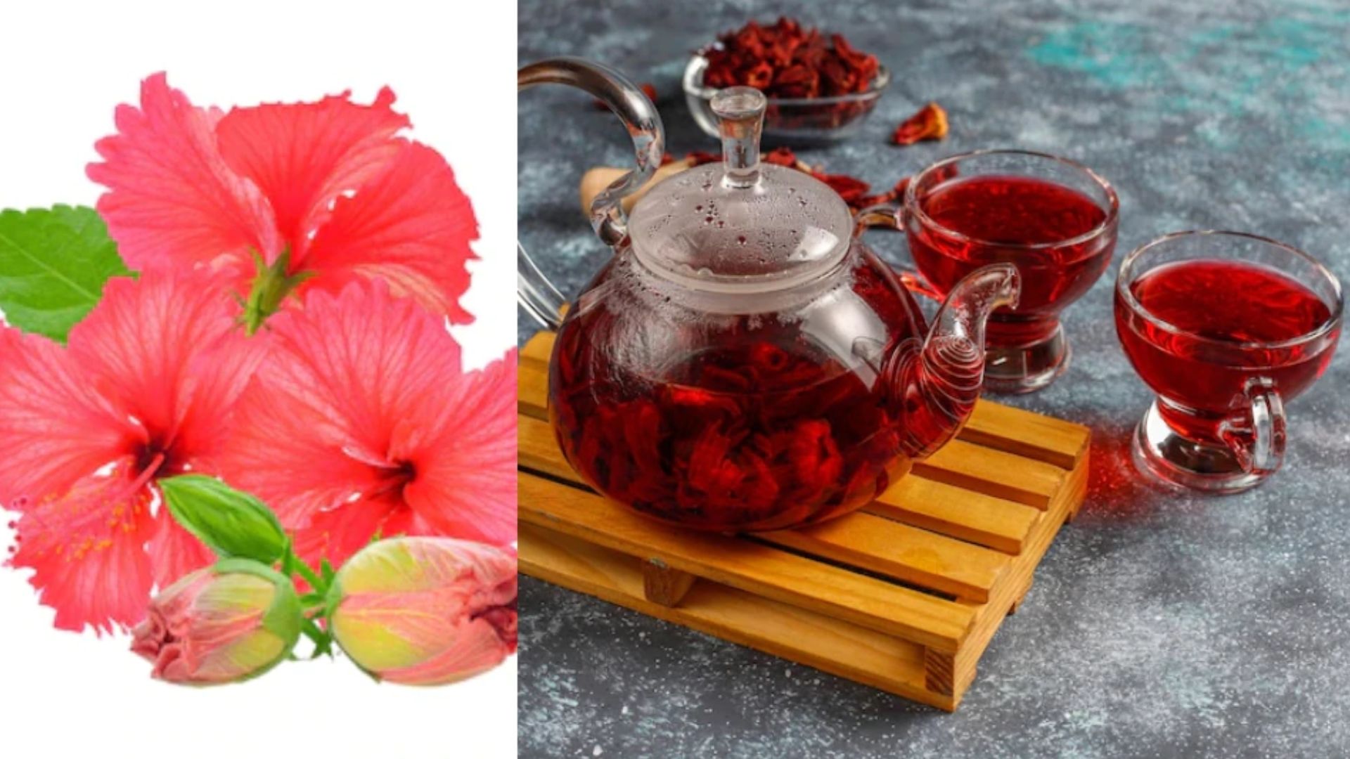 Hibiscus Tea Health Benefits: మందార టీ ఆరోగ్యానికి ఓ వరం.. చలికాలంలో తాగితే అద్భుతమైన ప్రయోజనాలు! బరువు తగ్గడమే కాదు