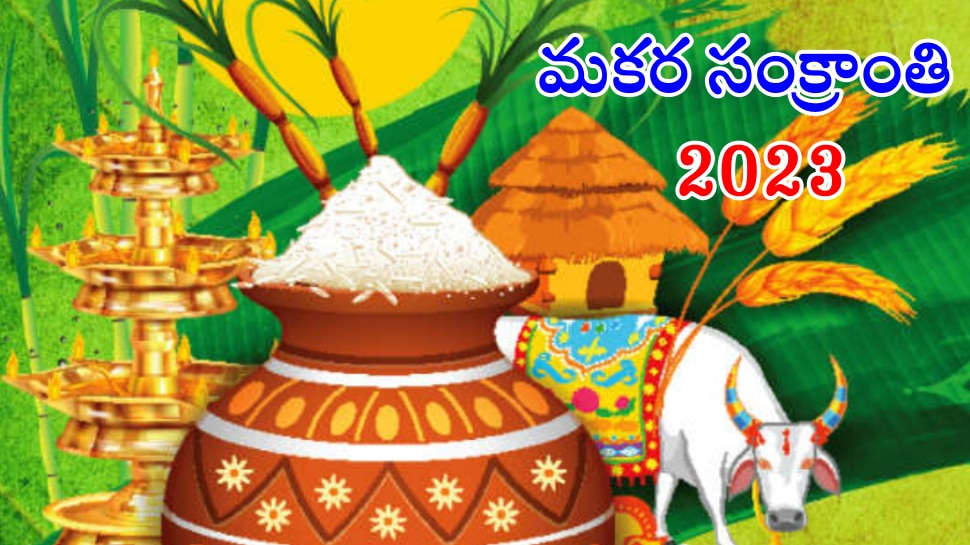 Sankranti Festival: 2023లో సంక్రాంతి ఎప్పుడు వచ్చింది? ఈ పండుగ విశిష్టత ఏంటి?