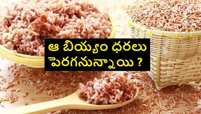 5 GST On Rice 5 News In Telugu 5-gst-on-rice-5-news-in-telugu
