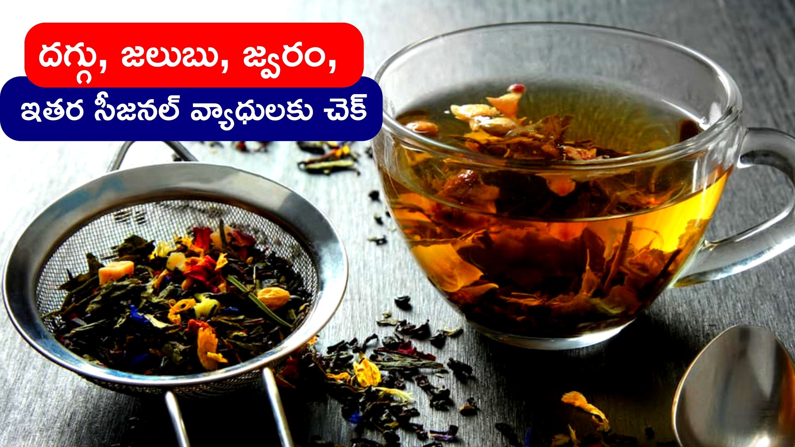 Fever Cold And Cough: దగ్గు, జలుబు, జ్వరం, ఇతర సీజనల్‌ వ్యాధులకు 48 గంటల్లో చెక్‌ పెచ్చొచ్చు..