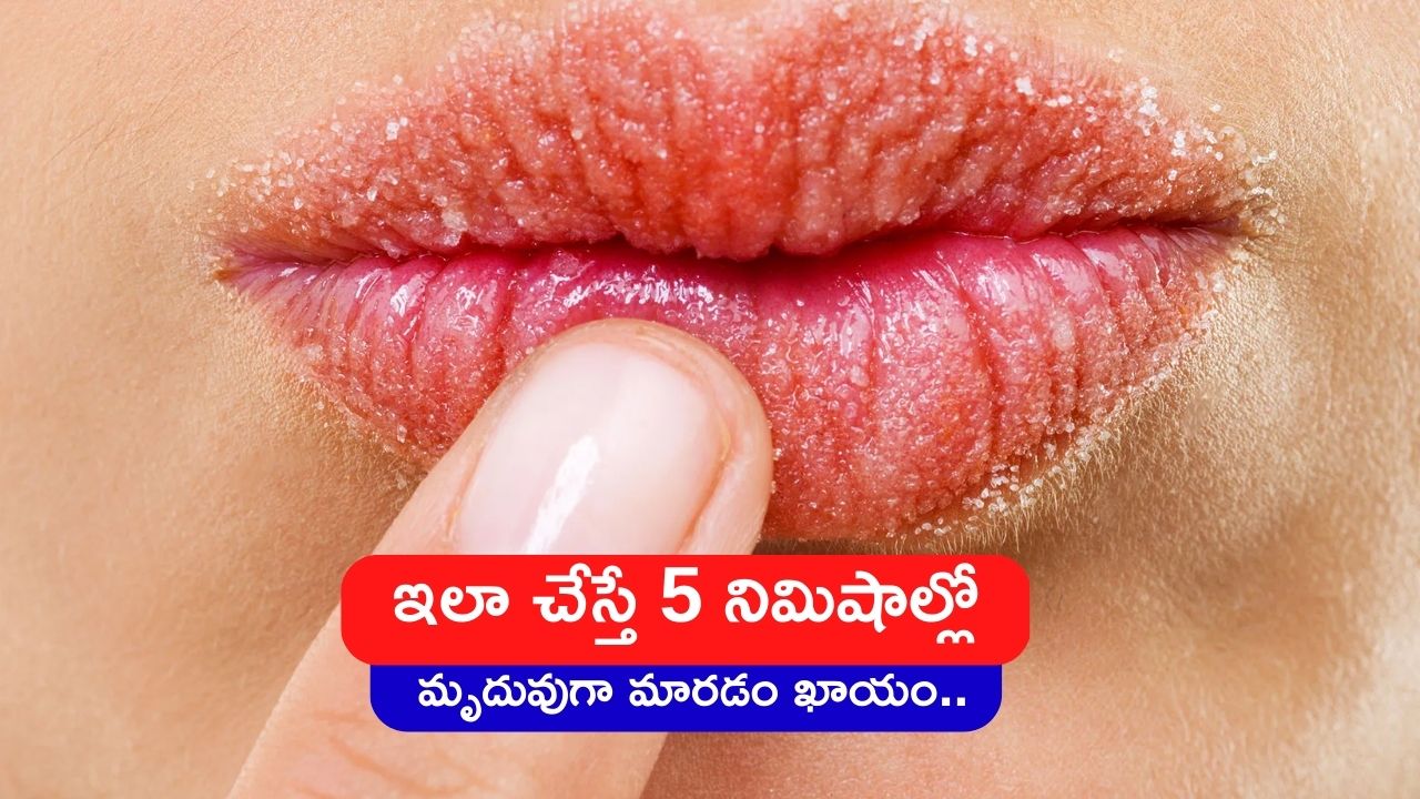 Rid Of Chapped Lips Applying Milk Honey And Tomato Juice On The Lips