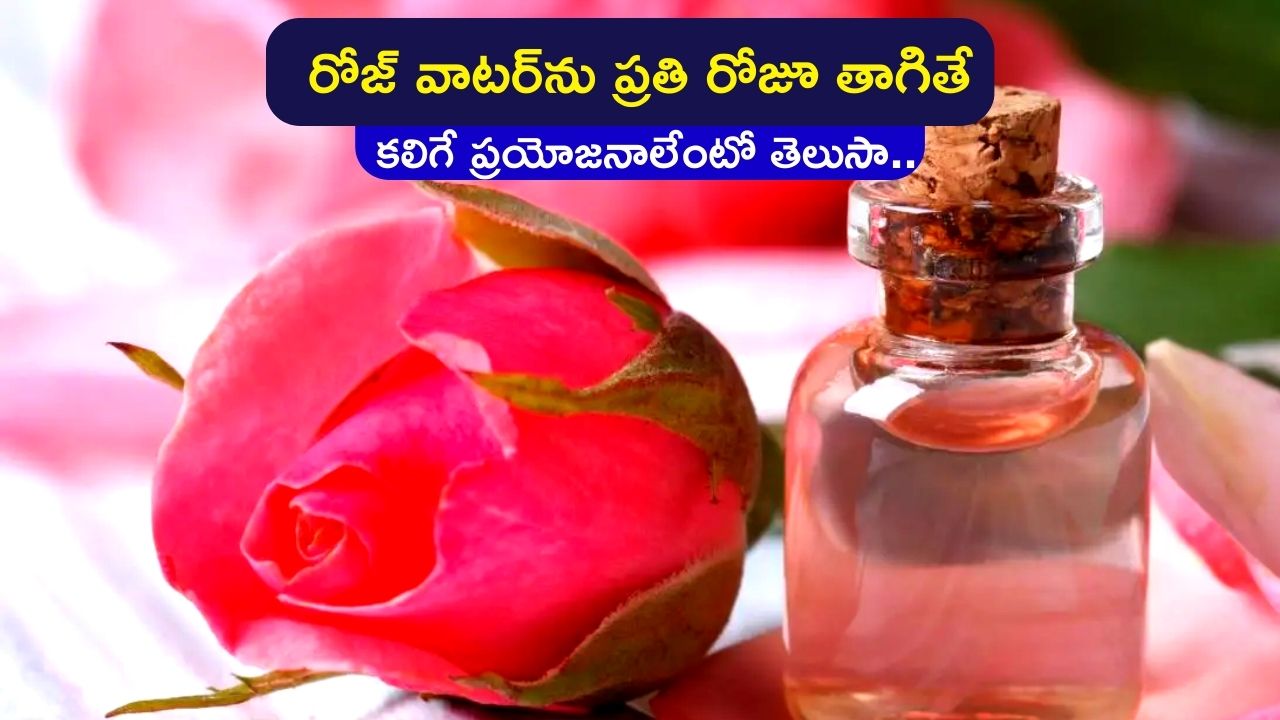 Rose Water For Face If You Drink Rose Water Every Day You Will Get Rid