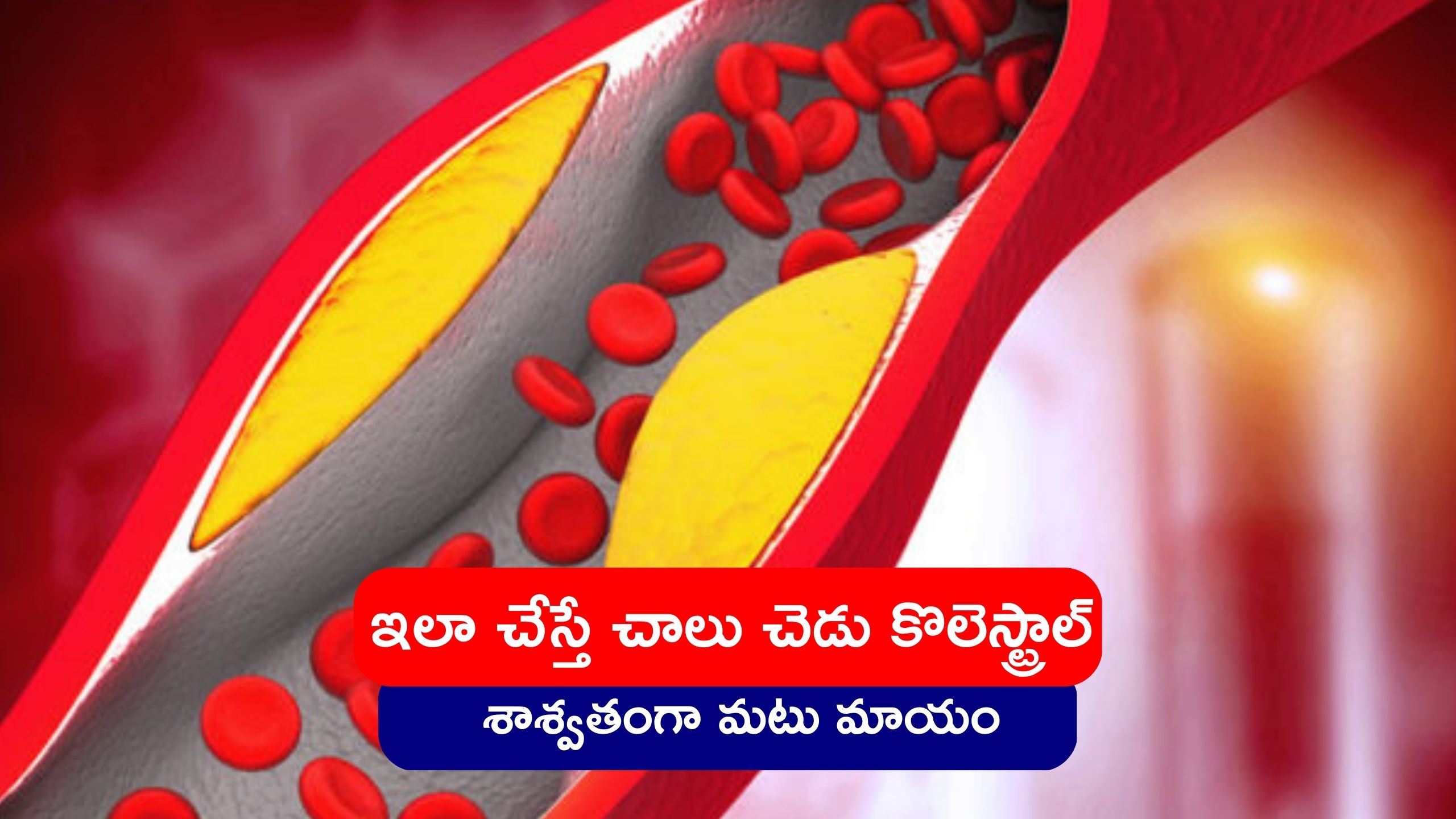 High Cholesterol Eating Sprouted Nuts And Almonds Every Day Will Keep