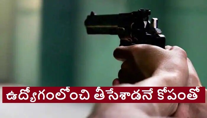 Sacked BPO Employee: ఉద్యోగంలోంచి తీసేశాడని బాస్‌ని షూట్ చేశాడు