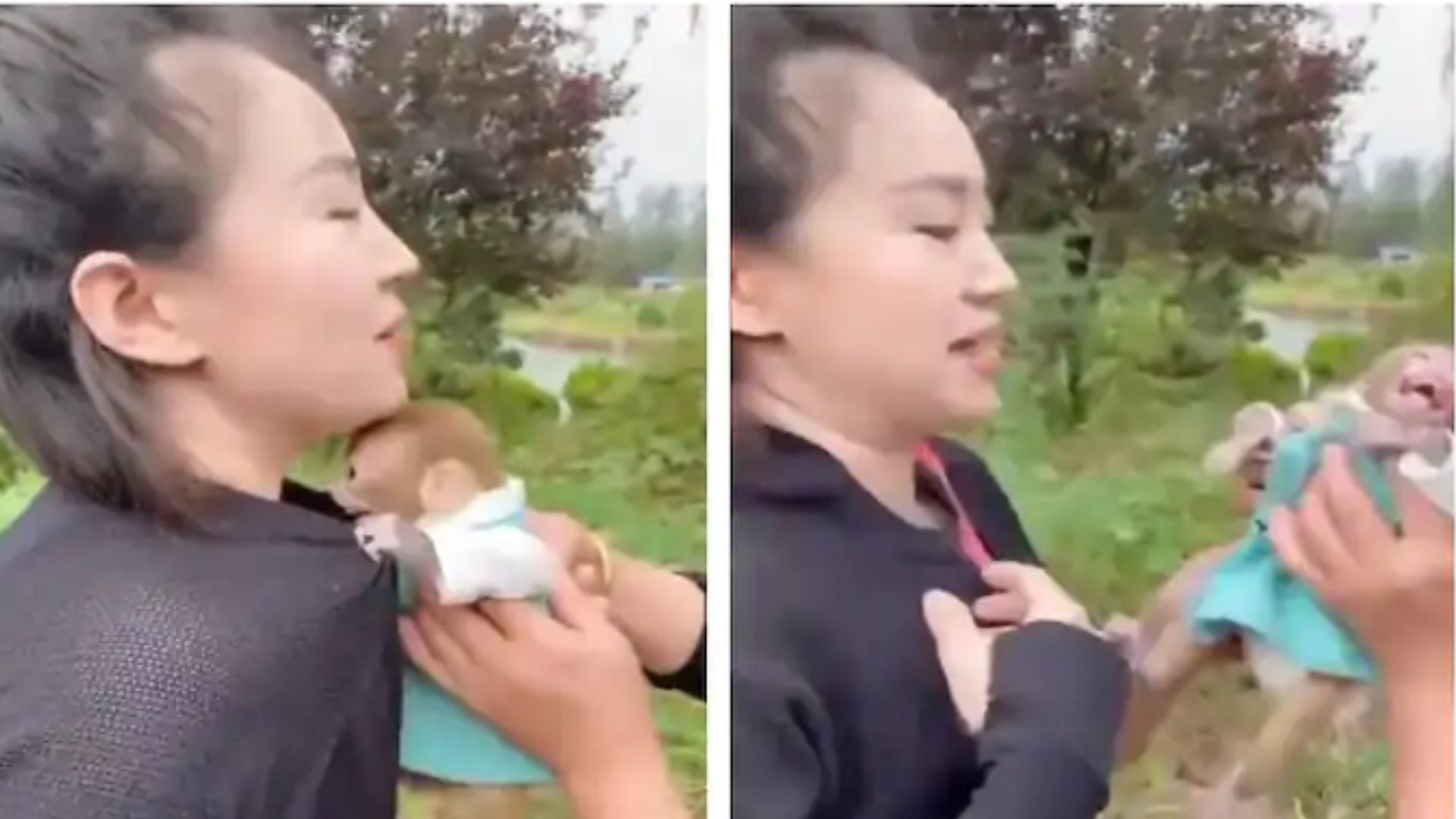 Baby Monkey Girl Viral Video Baby Monkey cries after Separated From