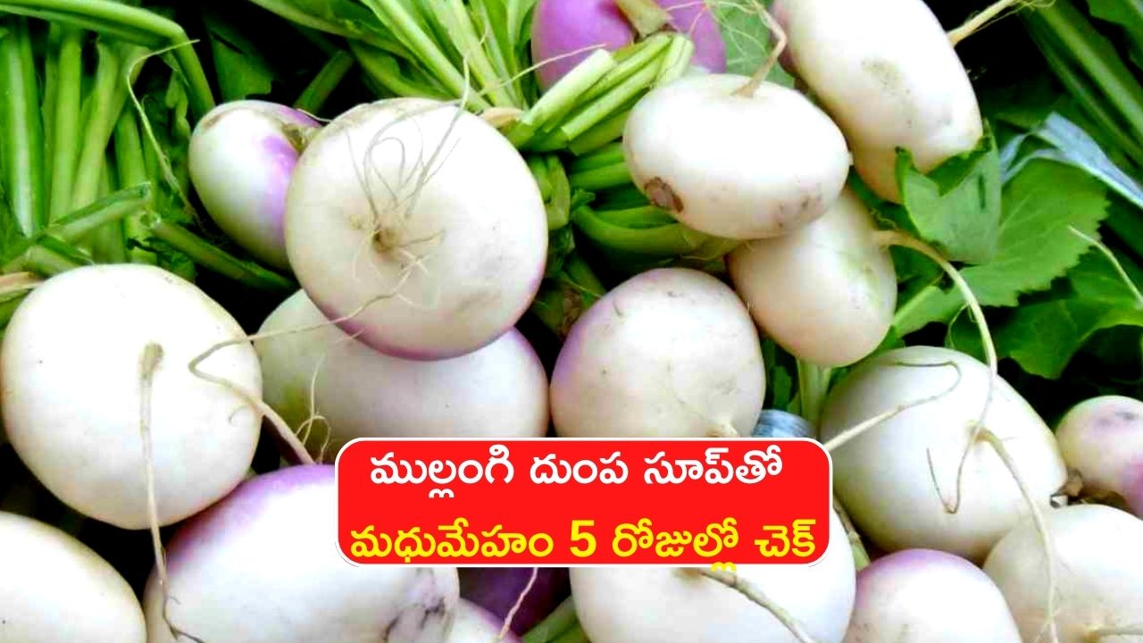 Turnip For Diabetes Drinking Turnip Soup Every Day Will Control Diabetes In 5 Days Turnip For