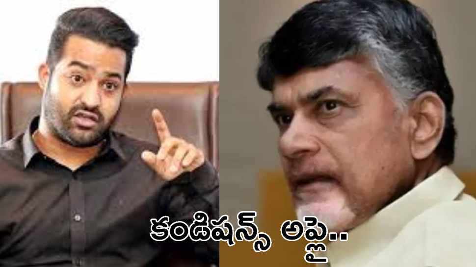 Chandrababu -Jr NTR: ఎన్టీఆర్ తో భేటీ కానున్న బాబు.. ఎన్నికలే టార్గెట్ గా కొత్త ప్లాన్?