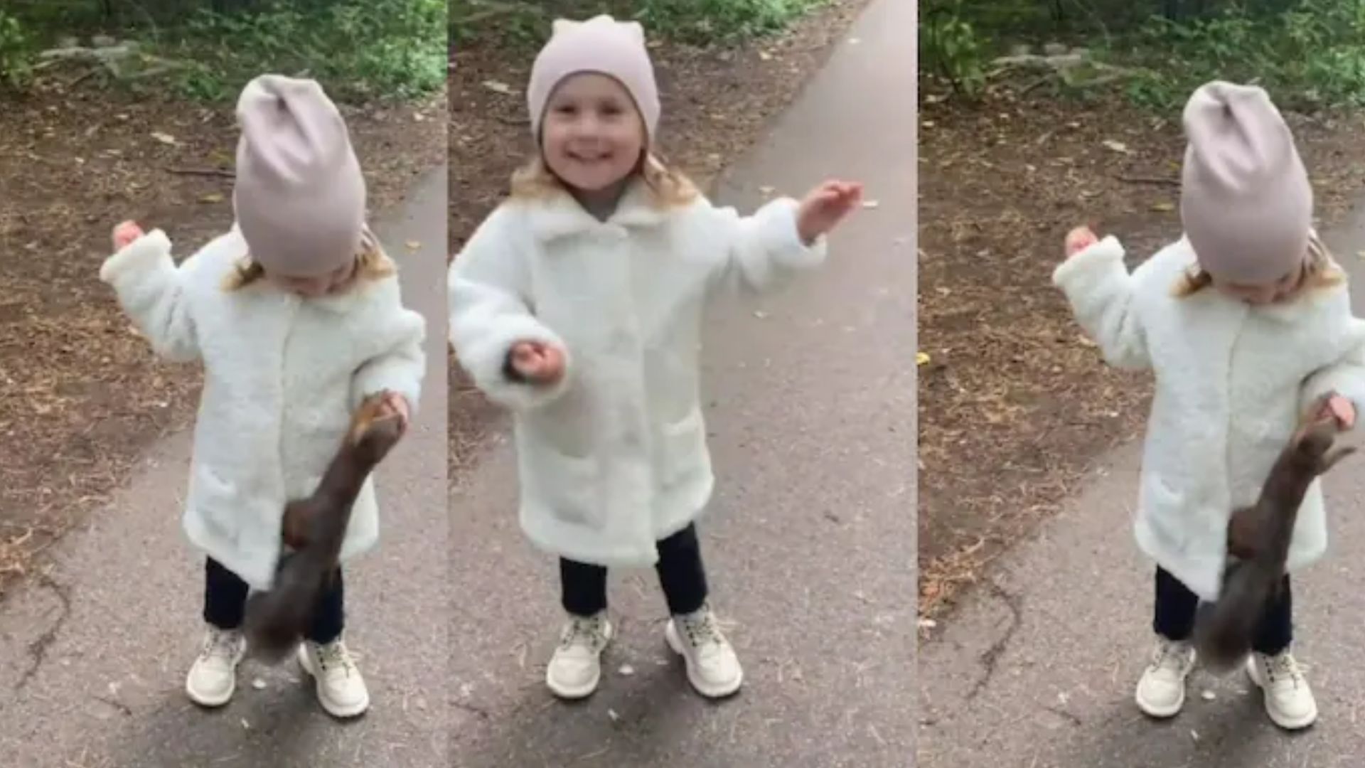 Squirrel Girl Viral Video Squirrel bite LIttle Girl Hand at Road