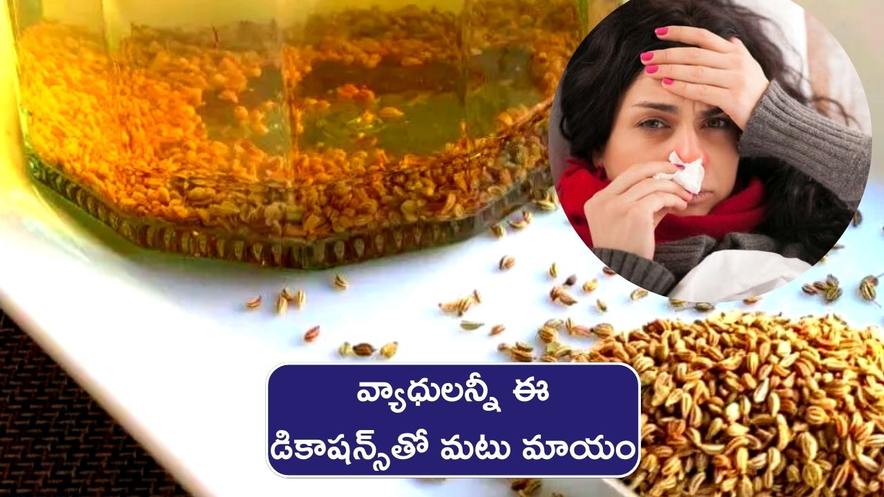 Carom Seeds Decoction Drinking Carom Seeds Decoction Every Day Will