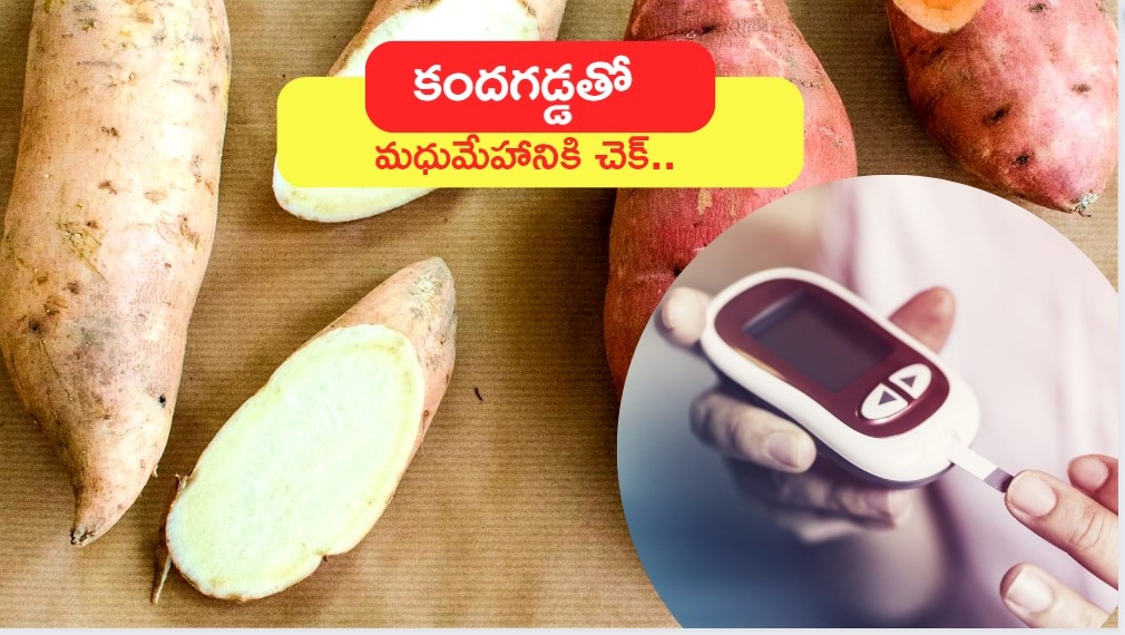 Can Diabetes Patient Eat Sweet Potato: Eating Sweet Potato Every Day