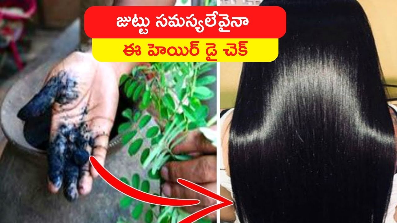 How To Dye Hair Naturally Black Using Shikakai Hair Dye Every Day Will