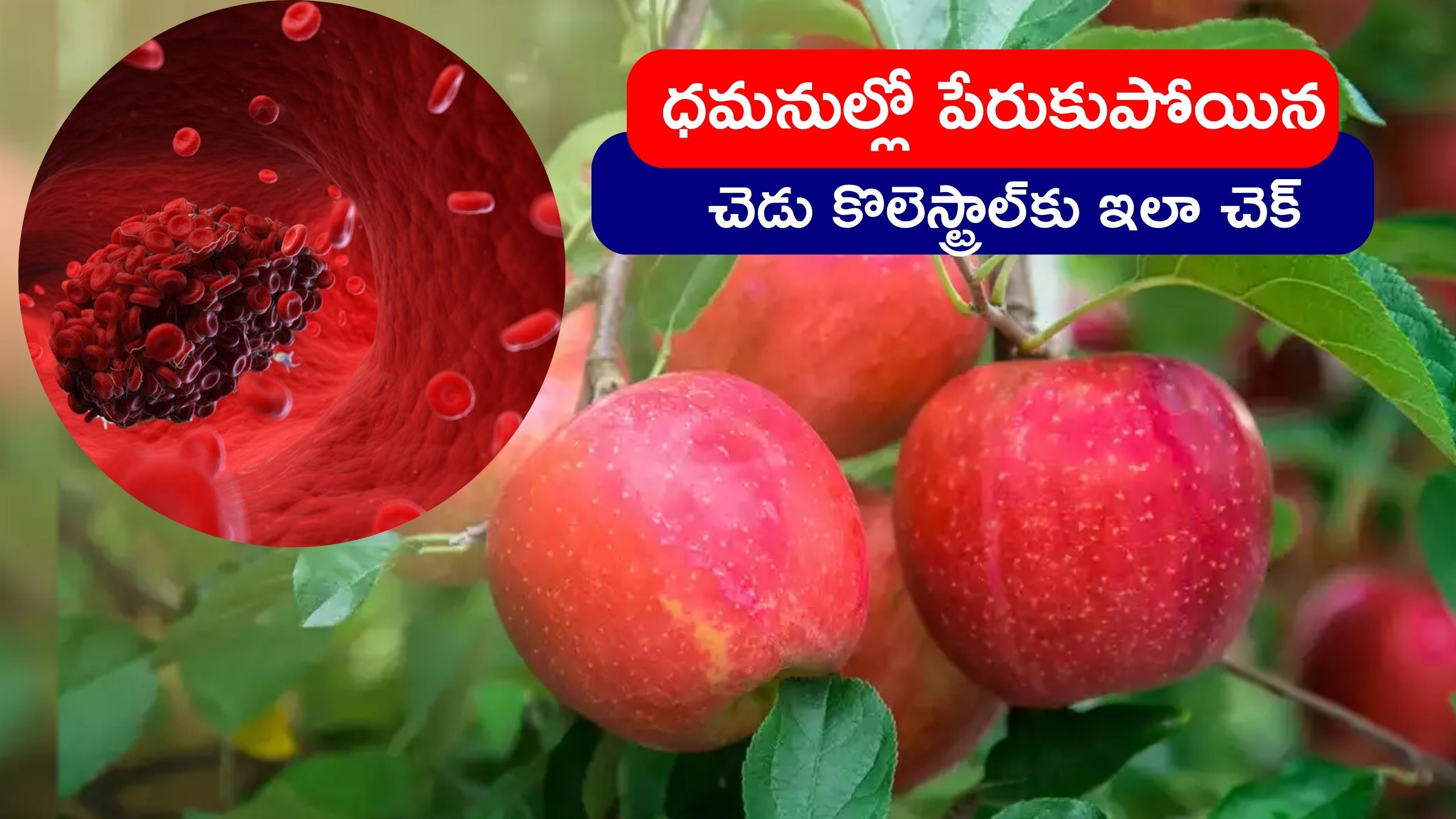 Cholesterol Remedy Eating 2 Apples Every Day On An Empty Stomach Will