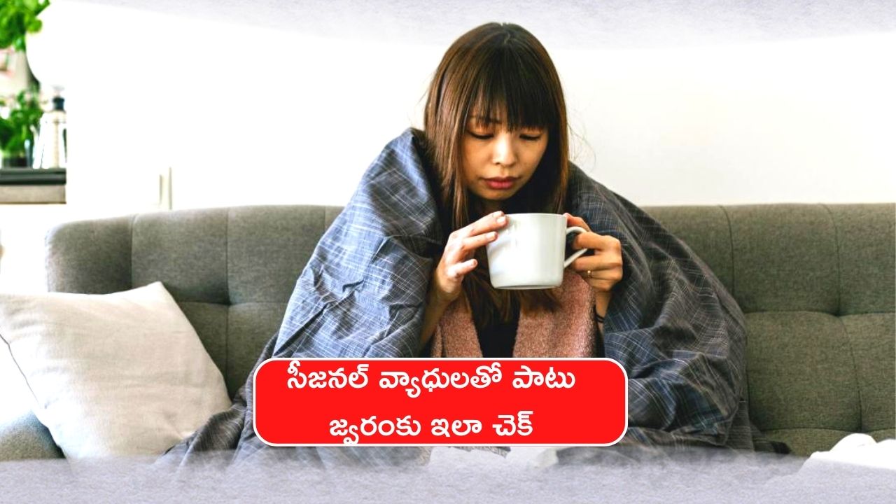 Fever Remedies At Home: ఈ ఆకులతో సీజనల్‌ వ్యాధులతో పాటు.. జ్వరంకు 1 రోజులో చెక్‌ పెట్టొచ్చు..