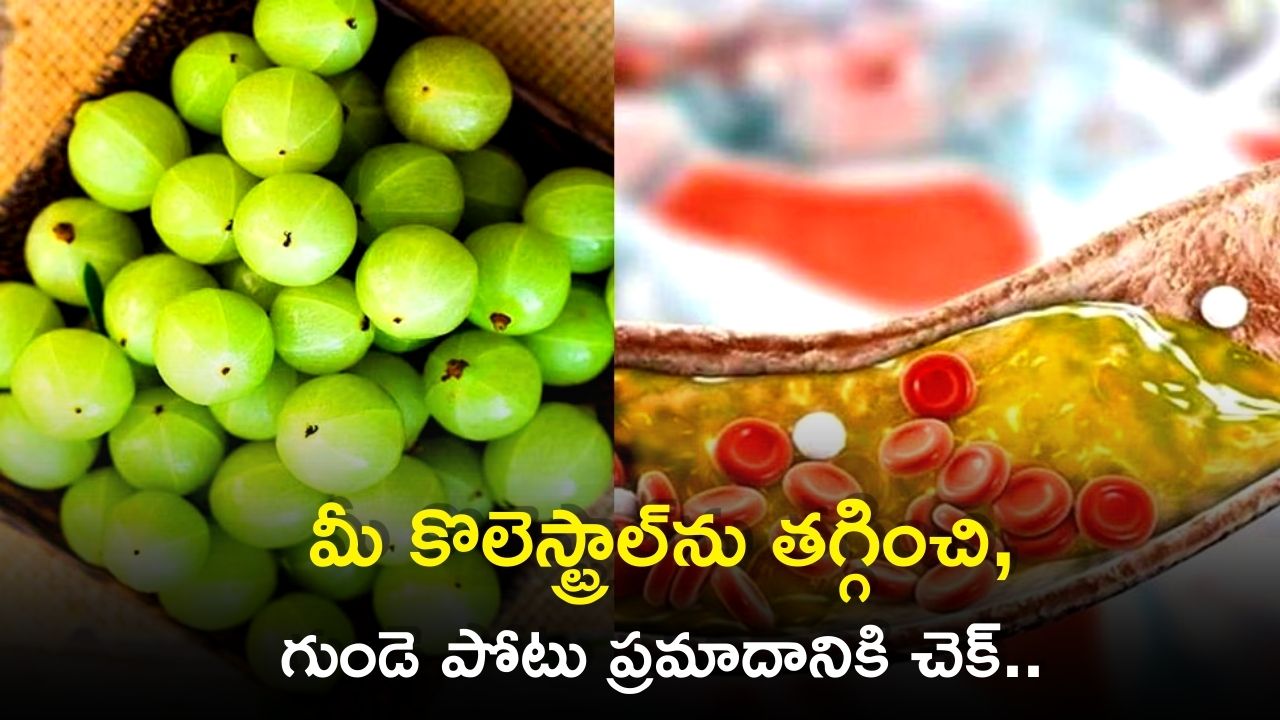 Ayurvedic Solution For High Cholesterol Amla Powder Garlic And Lemon