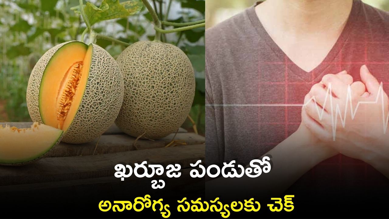 Winter Melon Health Benefits Eating Melon Fruit Every Day Provides winter-melon-health-benefits-eating-melon-fruit-every-day-provides