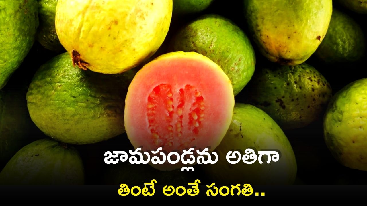 Guava Side Effects Eating Too Much Guava Can Lead To Gas Problem
