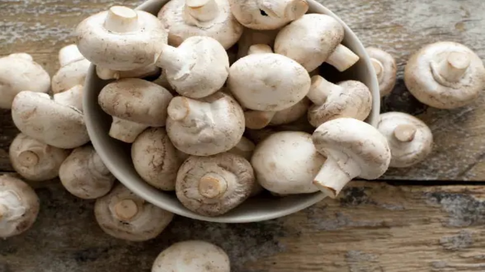 Health Care tips Incredible benefits of eating Mushrooms Mushrooms