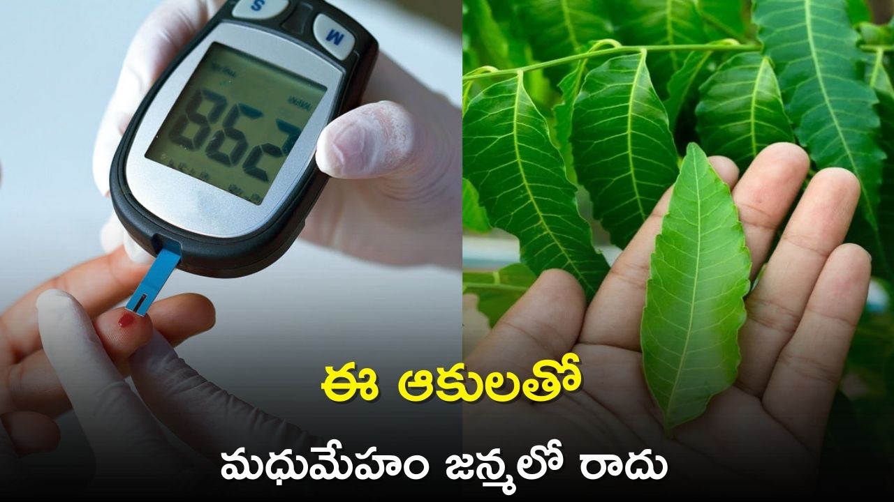  Diabetes Control Tips: ఈ పొడి  1 చెంచా తింటే మధుమేహం లెవల్ 500 ఉన్నా 10కి దిగి రావడం ఖాయం..